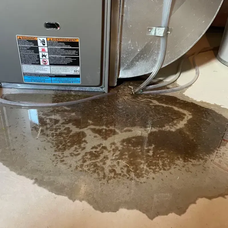 Appliance Leak Cleanup in West Baton Rouge Parish, LA